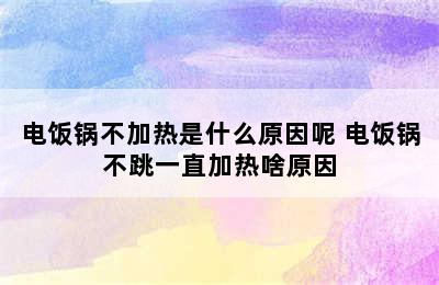 电饭锅不加热是什么原因呢 电饭锅不跳一直加热啥原因